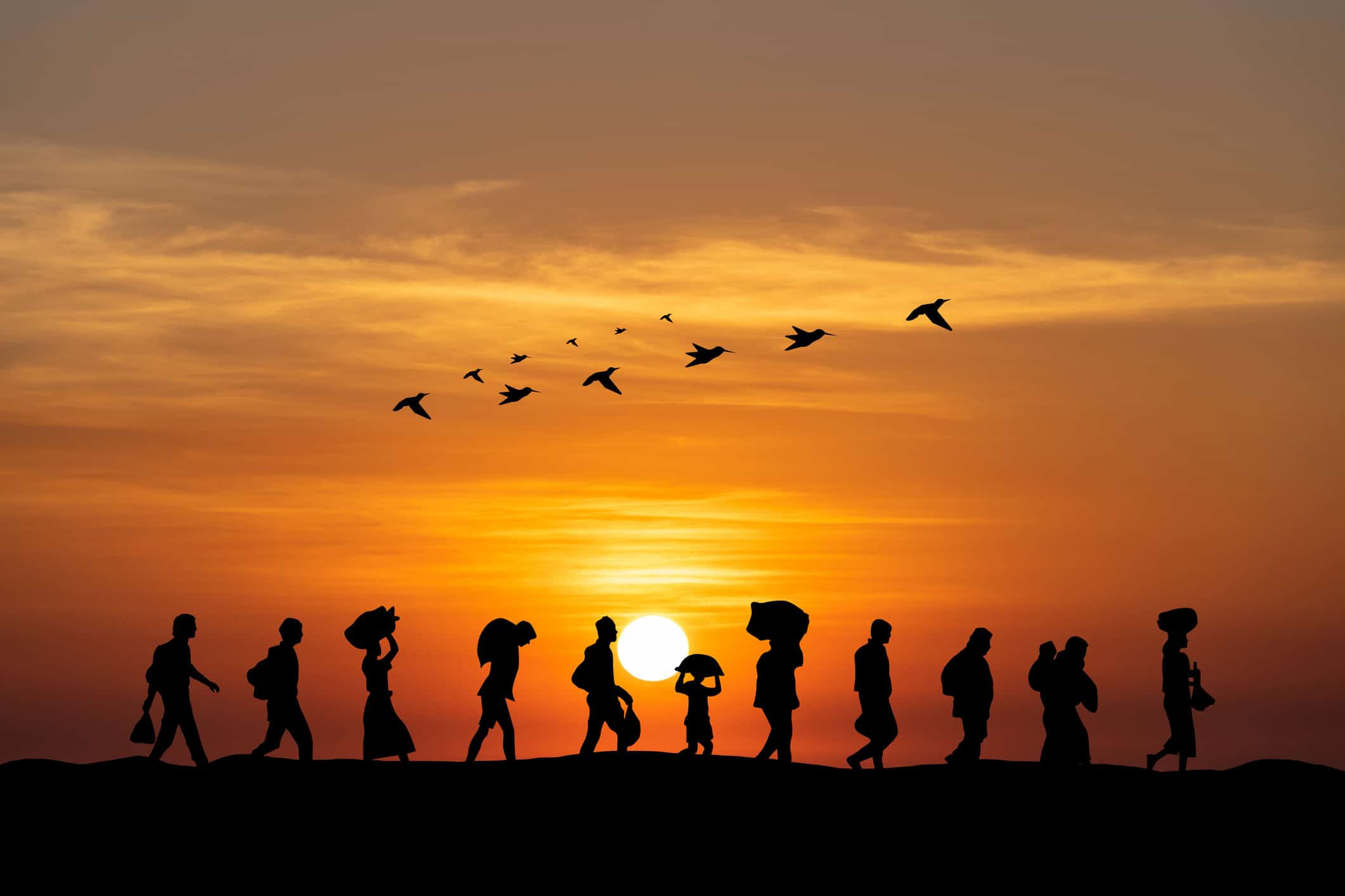 Is Nederland vol? De feiten over migratie